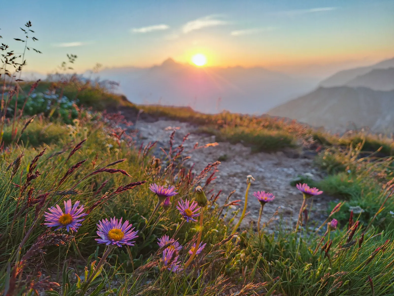 Cesne Alexandre - certified mountain guide based in Switzerland