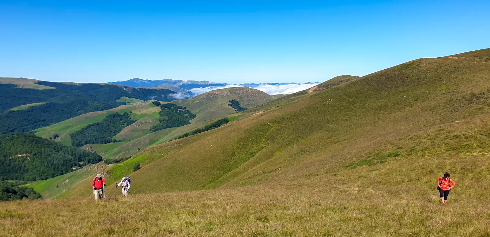Agustín Ciriza Urrestarazu - certified mountain guide based in Spain