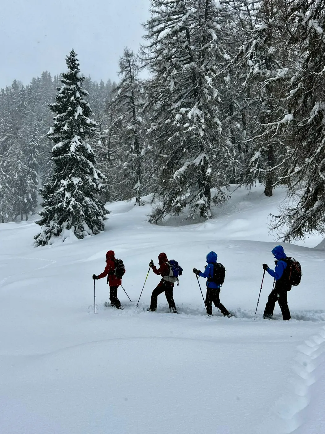 Six-Day Snowshoe Hiking Valais | Certified Guide - guided hiking tour in switzerland-valais