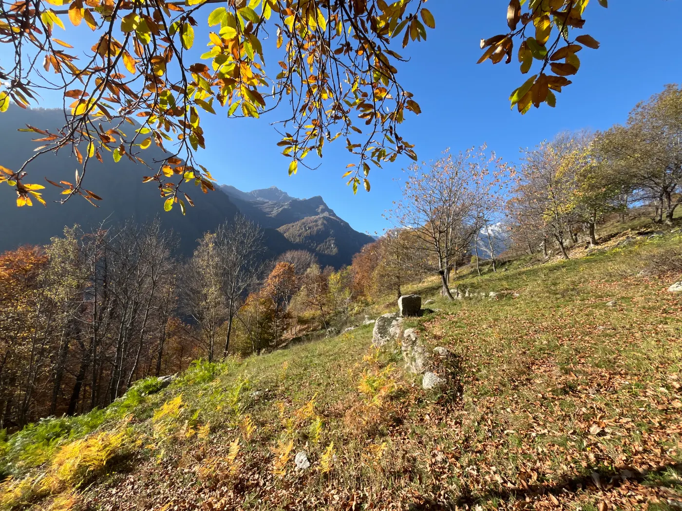 A Balcony over Val Grande – Panoramic Loop from Pialpetta - guided hiking tour in italy-italianalps-vallidilanzo