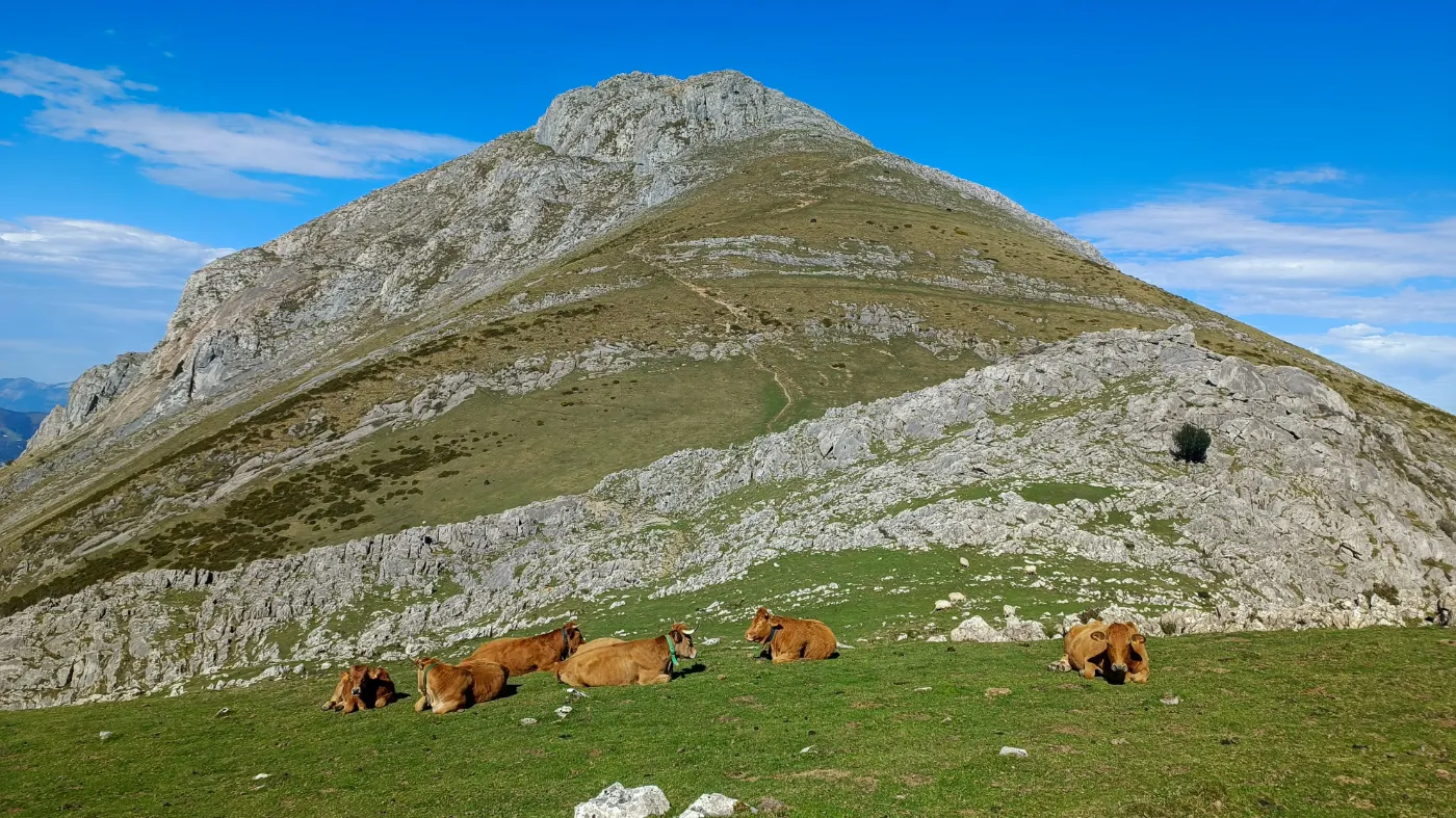Hike Sierra de Aralar | Basque Peaks & Views - guided hiking tour in spain-basquecountry