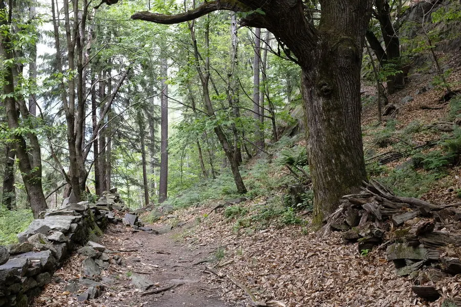 Ticino Getaway - guided hiking tour in switzerland-ticino