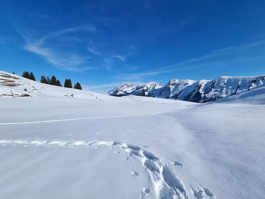Snowshoeing in the Vaud Alps: 2-Day Hut Tour - guided hiking tour in switzerland-vaudpre-alps