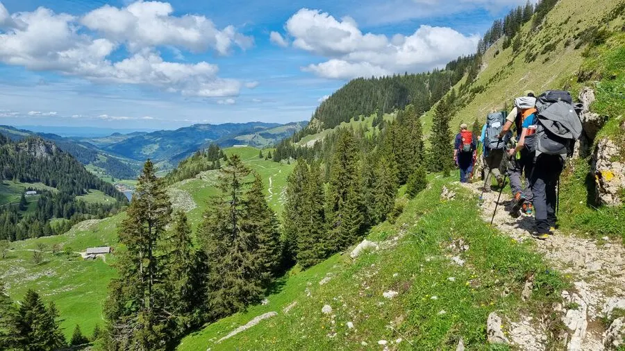 Gastronomic Full Moon Hike | Schwarzsee | Certified Guide - guided hiking tour in Switzerland - Fribourg - Schwarzsee