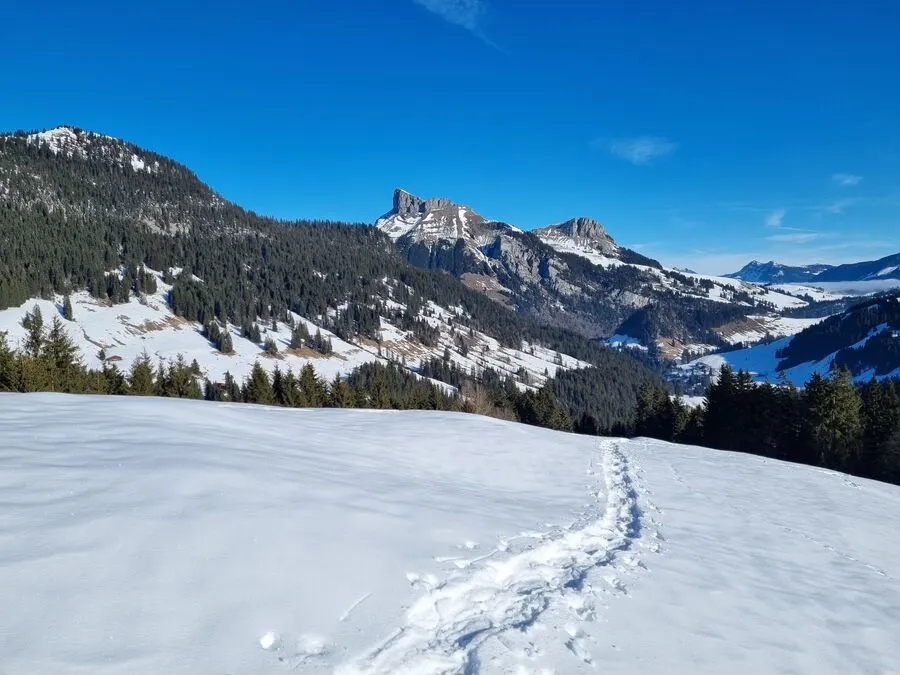 Snowshoeing at Hohgant: 2-Day Hut Tour - guided hiking tour in switzerland-berneseoberland